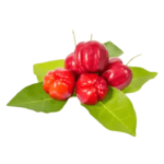 Acerola-Photoroom-min.png